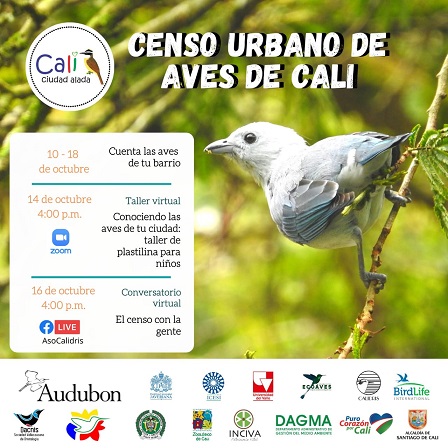 noticias-destacadas/estamos-en-la-semana-del-censo-urbano-de-aves-de-cali